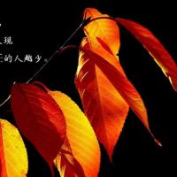 公交车追尾事故观后感集合