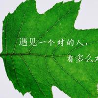 国庆60周年观后感汇编