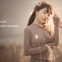 这是个神奇的奇迹读后感汇集