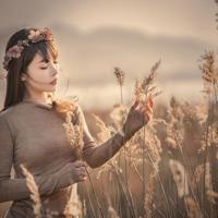 阳光耕耘着戈壁读后感汇编