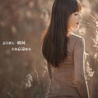 听励志演讲会观后感合计