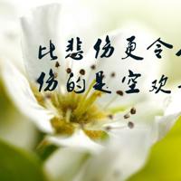 班组长安全知识观后感总汇