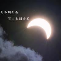 搜索在一起观后感集锦