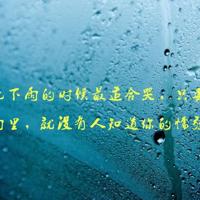 朝三暮四观后感50字汇总