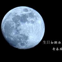 最美十佳少年观后感汇合