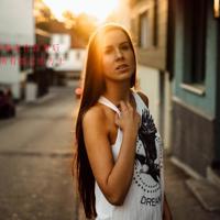 金波的儿童诗天鹅读后感选录