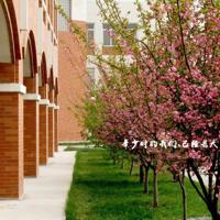 空中小姐王朔读后感选录