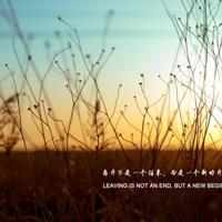 小板凳读后感50字汇集