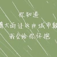 又是一年粽飘香读后感总汇