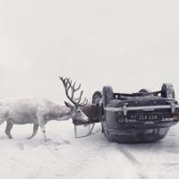 白马湖读后感四百字汇总