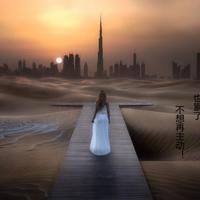 声声慢的读后感100字整理