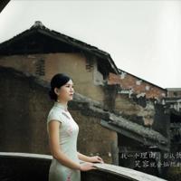 蜘蛛的孵化读后感精练