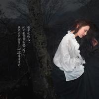 两弹元勋观后感400字汇总