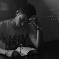 天仙子观后感500字汇聚