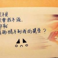 初一论语十二章观后感汇合