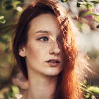 电影赵一曼观后感选录