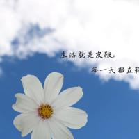沙漠之花观后感1000字细选