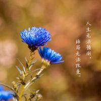 物理高考考试大纲观后感汇聚