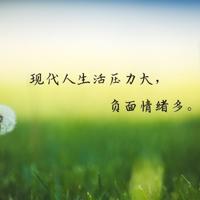 临江仙辛弃疾读后感细选