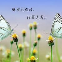 八月桂花读后感五年级摘录