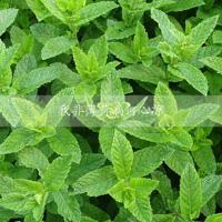 丹东电视台观后感合集