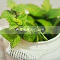 猫和狐狸的读后感精选