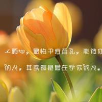 棒棒教师系列读后感总汇