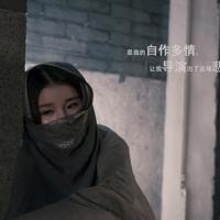 三借芭蕉扇的读后感总汇