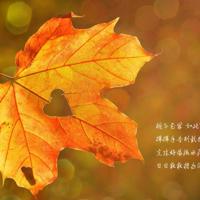 建军节阅兵观后感摘录