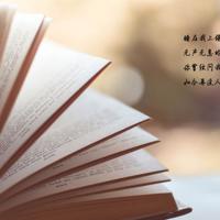 偷东西的小孩和母亲读后感精选