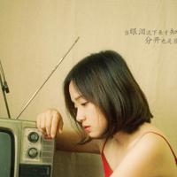 大河之舞观后感40字汇聚