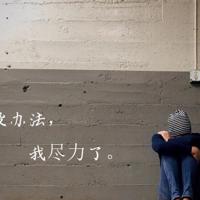 磁洲窑艺术馆观后感集合