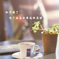 阅兵的读后感1000字精练