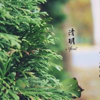 水天一色广场观后感二百字锦集