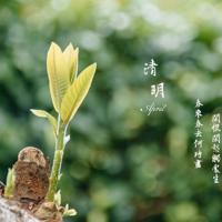 华罗庚故事读后感集锦