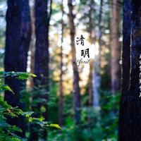 国防教育伴我成长观后感细选