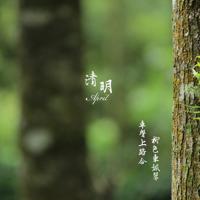 谁主沉浮观后感100字选录