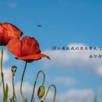 张北军事文化体验馆观后感聚集