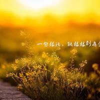 亲情的书籍读后感书信形式汇集