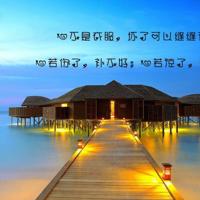 玩具柜台前的孩子读后感整理