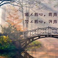 张彬彬爱情观后感精选