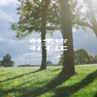 我的章鱼老师记录片观后感摘录