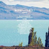 喷火又喷水的龙读后感汇总