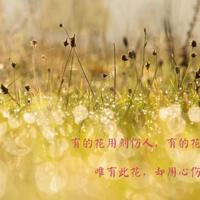 早恋女生讲座的观后感集锦