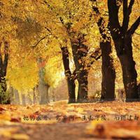 红辣椒的观后感100字集锦