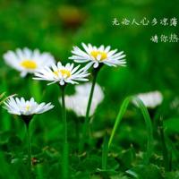 快乐交友与口才读后感汇集