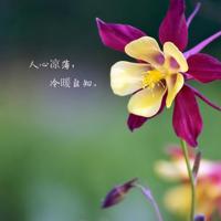 小学四年级观后感的要求汇合