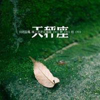 董卿的遇见观后感收集