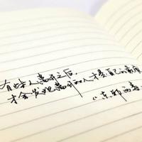 标枪龙伞鼠和花兽读后感集锦