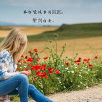 苍蝇读后感500字细选